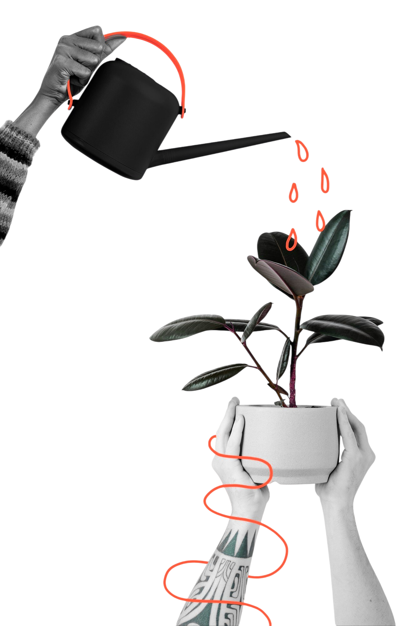 creative illustration